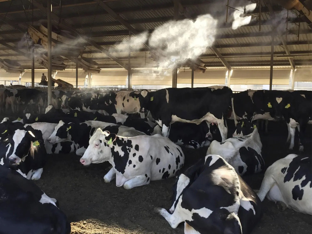 MIST SYSTEM IS IMPORTANT FOR FARMS
