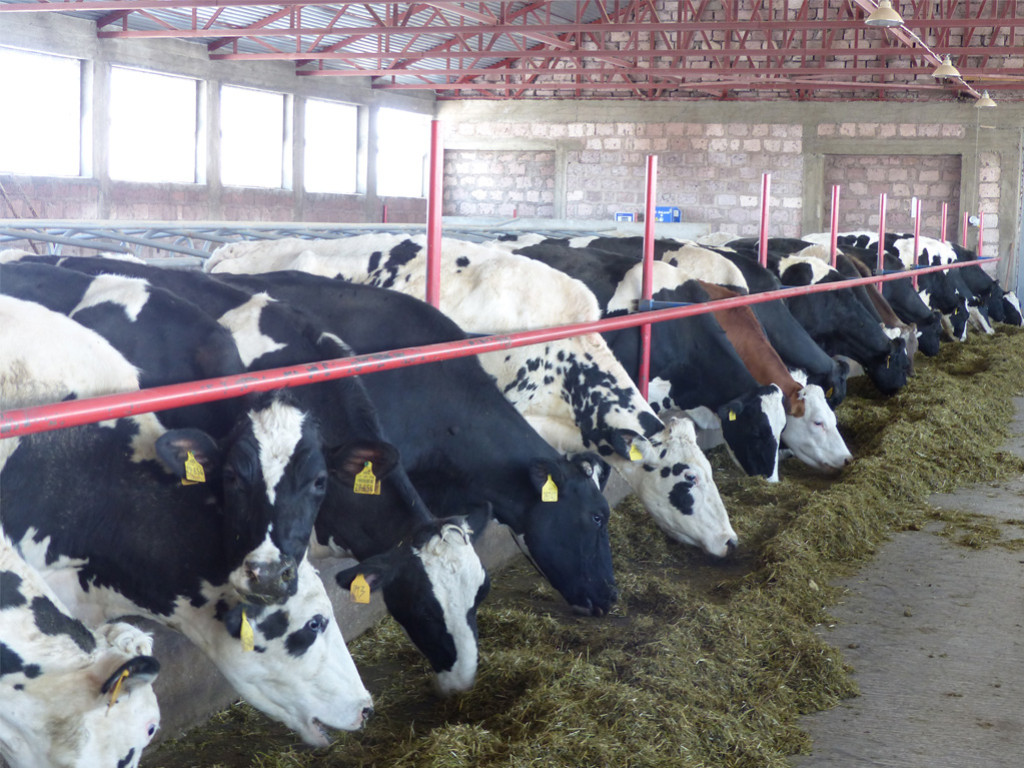 THE PERFECT SYSTEM FOR FARMS