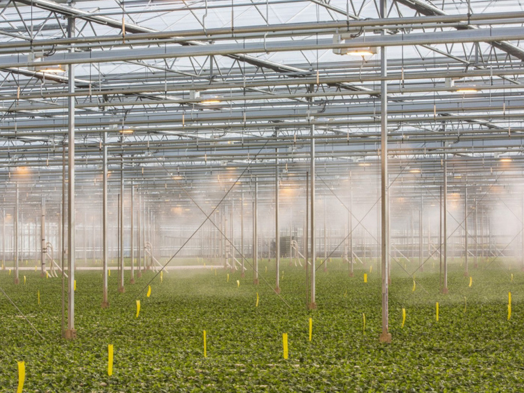 WHAT ARE THE FEATURES OF THE COOLING SYSTEM?
