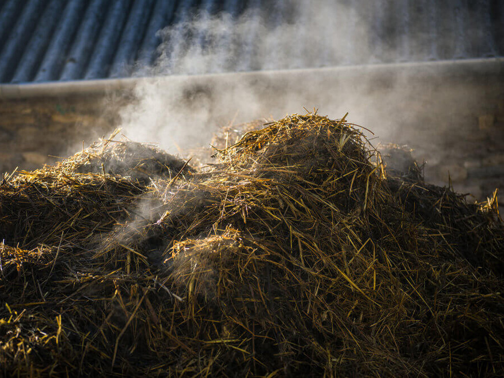 HIGH PRESSURE FOGGING SYSTEM FOR ODOR PREVENTION